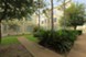 Concord at Williamcrest - Courtyard - Photo 4 of 7
