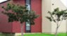 Arroyo Vista - Exterior - Photo 2 of 7