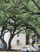 Deer Oaks - Exterior - Photo 2 of 12