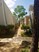 Turtle Creek - Courtyard - Photo 2 of 14