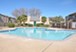 Shadowbay - Pool - Photo 2 of 8