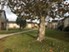 Parkview Village - Courtyard - Photo 3 of 21
