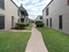 Willow Tree - Exterior - Photo 4 of 9