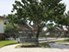Meadowbrook Plaza - Pool - Photo 5 of 9