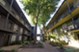 Avondale Parc at Bellmar - Exterior - Photo 3 of 17