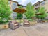 Aventine at Kessler Park - Courtyard - Photo 5 of 16