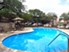 Meadows - Pool - Photo 6 of 15
