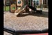 Brittmoore - Playground - Photo 5 of 6