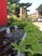 Redgate - Entrance - Photo 2 of 21