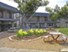 Tradewind Villas - Exterior - Photo 4 of 7