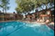 Avery at Deer Park - Pool - Photo 8 of 24