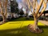 Westpark Ranch - Dog Park - Photo 4 of 40