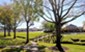 Bayou Village - Courtyard - Photo 4 of 20