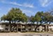 Paseo - Exterior - Photo 2 of 2