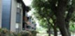 Steepleway Downs - Exterior - Photo 4 of 14