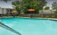Turtle Creek - Pool - Photo 8 of 12