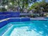 Bellevue at Spring Creek - Pool - Photo 5 of 23
