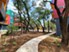 Aspire North Austin - Courtyard - Photo 4 of 15