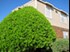 Cedar Point - Exterior - Photo 5 of 27