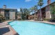Arden Westchase - Pool - Photo 5 of 25