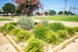 Twenty Oaks - Courtyard - Photo 6 of 9