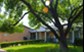 Oaks on Lamar - Exterior 4 - Photo 5 of 5