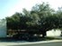 Cameo House - San Antonio, TX - Photo 1 of 2