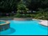 Residence at Westchase - Pool - Photo 5 of 9