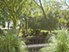 Woodchase - Courtyard - Photo 3 of 19