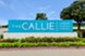 Callie - Entrance - Photo 2 of 18