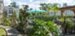 Reserve at Garden Oaks - Pool - Photo 2 of 12