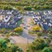 YardHomes Juniper Pointe - Aerial View - Photo 2 of 12