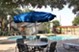 Chisholm Place - Pool - Photo 8 of 33