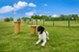 Villages 3Eighty - Dog Park - Photo 7 of 32