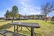 Republic Park Vista - Picnic Area - Photo 4 of 9