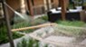 Cedar at the Branch - Hammocks - Photo 6 of 12
