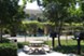 Villas at Oakwell Farms - Picnic Area - Photo 5 of 12