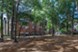 White Oak - Exterior - Photo 8 of 36