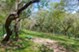 Keller - Dog Park - Photo 3 of 5