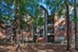 White Oak - Exterior - Photo 6 of 36