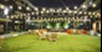 Axis 3700 - Courtyard - Photo 2 of 12