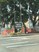Mira Monte - Sign - Photo 2 of 2