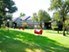 Trinity - Dog Park - Photo 4 of 14