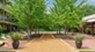 DeSoto Town Center - Exterior - Photo 7 of 25