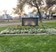 Village Corners East - Entrance - Photo 2 of 9