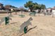 Cameron Creek - Dog Park - Photo 4 of 11
