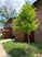 Gazebo - Tree - Photo 3 of 16