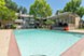Tiburon - Dallas, TX - Photo 1 of 5