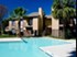 Oaks of Ashford Point - Houston, TX - Photo 1 of 25