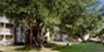 Champion Oaks - Exterior - Photo 5 of 29